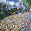 The area may not have reached peak color yet, but the leaves are decorating the ground in abundance on Norton’s Virginia Avenue.  MYRA MARSHALL PHOTO